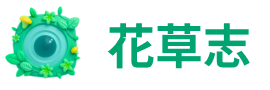 Card Diary Logo